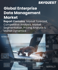 Global Enterprise Data Management Market