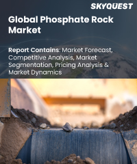Global Phosphate Rock Market