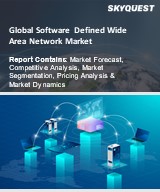 Global Software Defined Wide Area Network Market