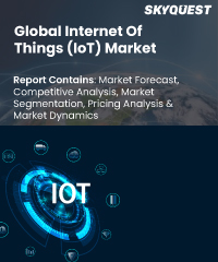 Global Internet of Things (IoT) Market