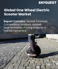 Global one wheel electric scooter market