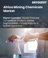 Africa Mining Chemicals Market