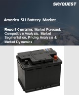 Global Battery Market