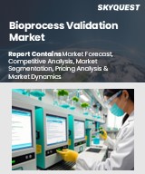 Global Bioprocess Validation Market