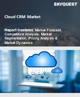 Global Cloud CRM Market