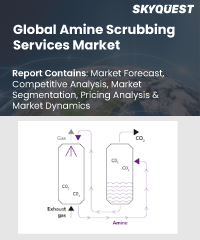 Global Amine Scrubbing Services Market