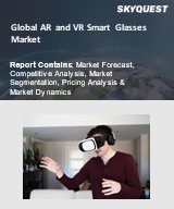 Global AR and VR Smart Glasses Market