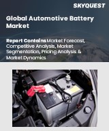 Global Automotive Battery Market