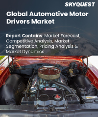 Global Automotive Motor Drivers Market