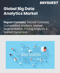 Global Big Data Analytics Market