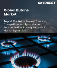 Global Butane market