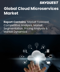 Global Cloud Microservices Market