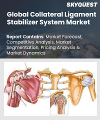 Global Collateral Ligament Stabilizer System Market