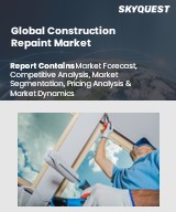 Global Construction Repaint Market