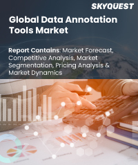 Global Data Annotation Tools Market