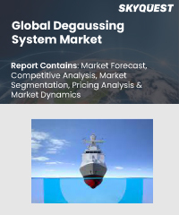 Global Degaussing System Market