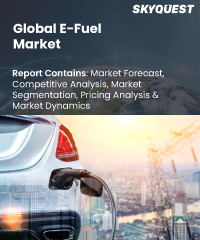 Global E-Fuel Market