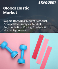 Global Elastic Market
