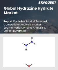 Global Hydrazine Hydrate Market