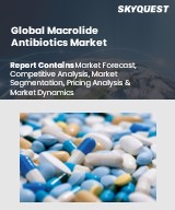 Global Macrolide Antibiotics Market