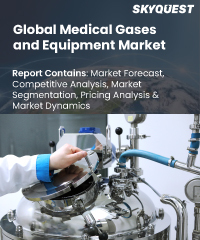 Global Medical Gases and Equipment Market