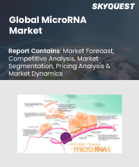 Global MicroRNA Market