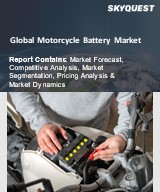 Global Motorcycle Battery Market