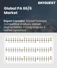 Global PA 66/6 Market