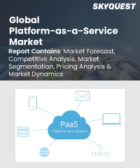 Global Platform as a Service (PaaS) Market