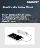 Global Portable Battery Market