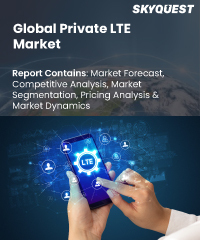 Global Private LTE Market