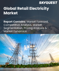Global Retail Electricity Market