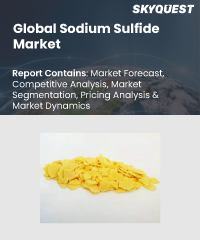 Global Sodium Sulfide Market