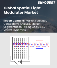 Global Spatial Light Modulator Market
