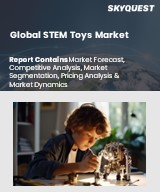 Global STEM Toys Market