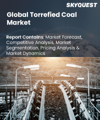 Global Torrefied Coal Market