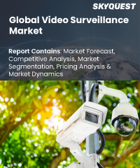Global Video Surveillance Market