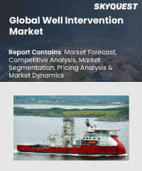 Global Well Intervention Market
