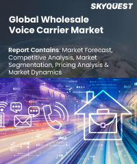 Global Wholesale Voice Carrier Market