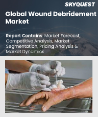 Global Wound Debridement Market