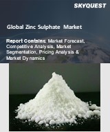 Global Zinc Sulfate Market