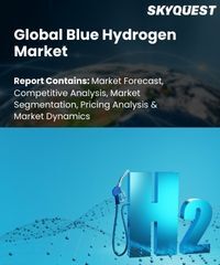 Global Blue Hydrogen Market