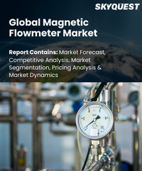 Global Magnetic Flowmeter Market