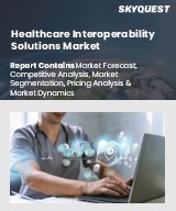 Global Healthcare Interoperability Solutions Market