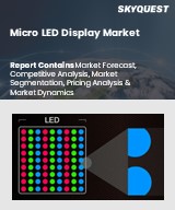 Global Micro LED Display Market