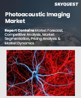 Global Photoacoustic Imaging Market