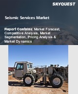 Seismic Services Market Report Cover Image