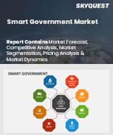 Global Smart Government Market