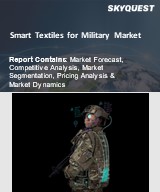 Global Smart Textiles for Military Market