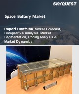 Global Space Battery Market